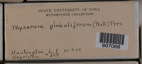 Image Associated With the Occurence